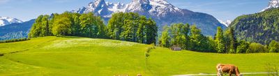 assets/images/8/knoedlseder-bayerischer-wald-f7c4aec9.jpeg